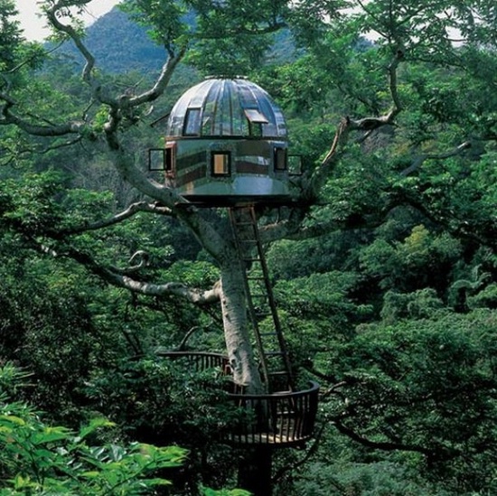 Список самых потрясающих домов на дереве