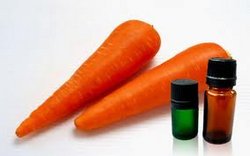 Эфирное масло моркови