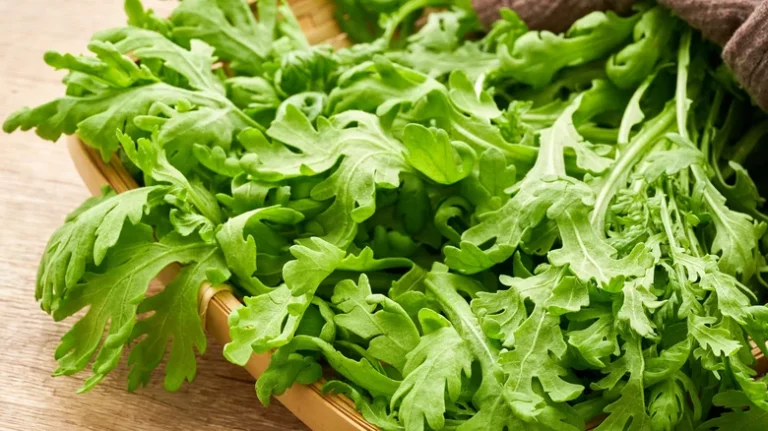 Что такое зелень хризантемы и какова она на вкус?
